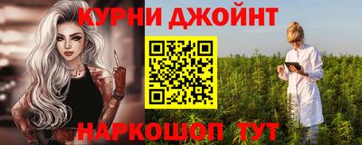 СК Сланцы