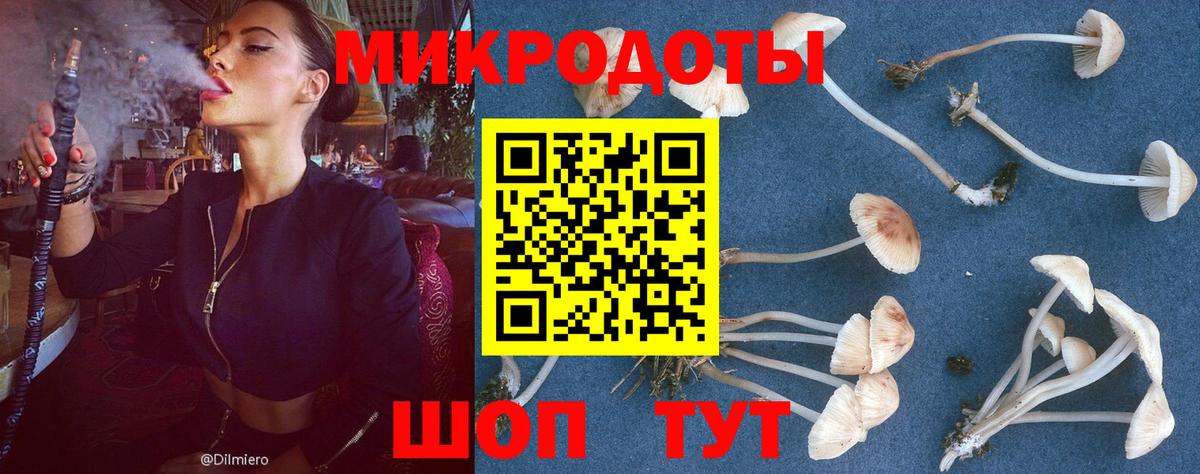 Псилоцибиновые грибы MAGIC MUSHROOMS  Вход с VPN  сколько стоит  Острогожск 